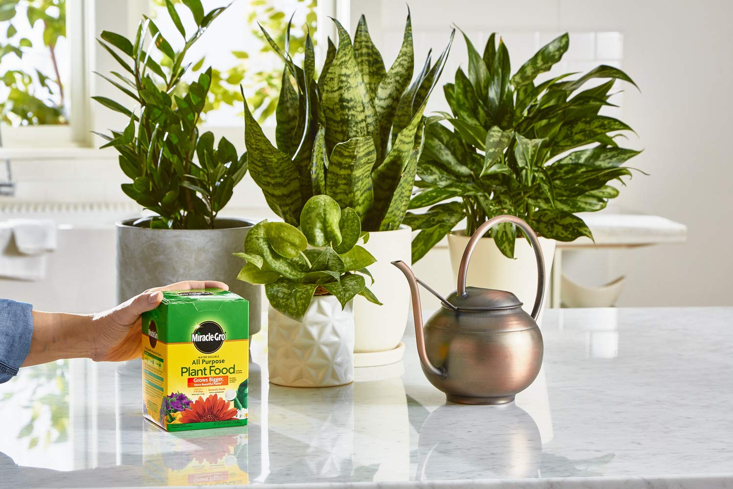 Garden scene using Miracle-Gro plant food on various plants