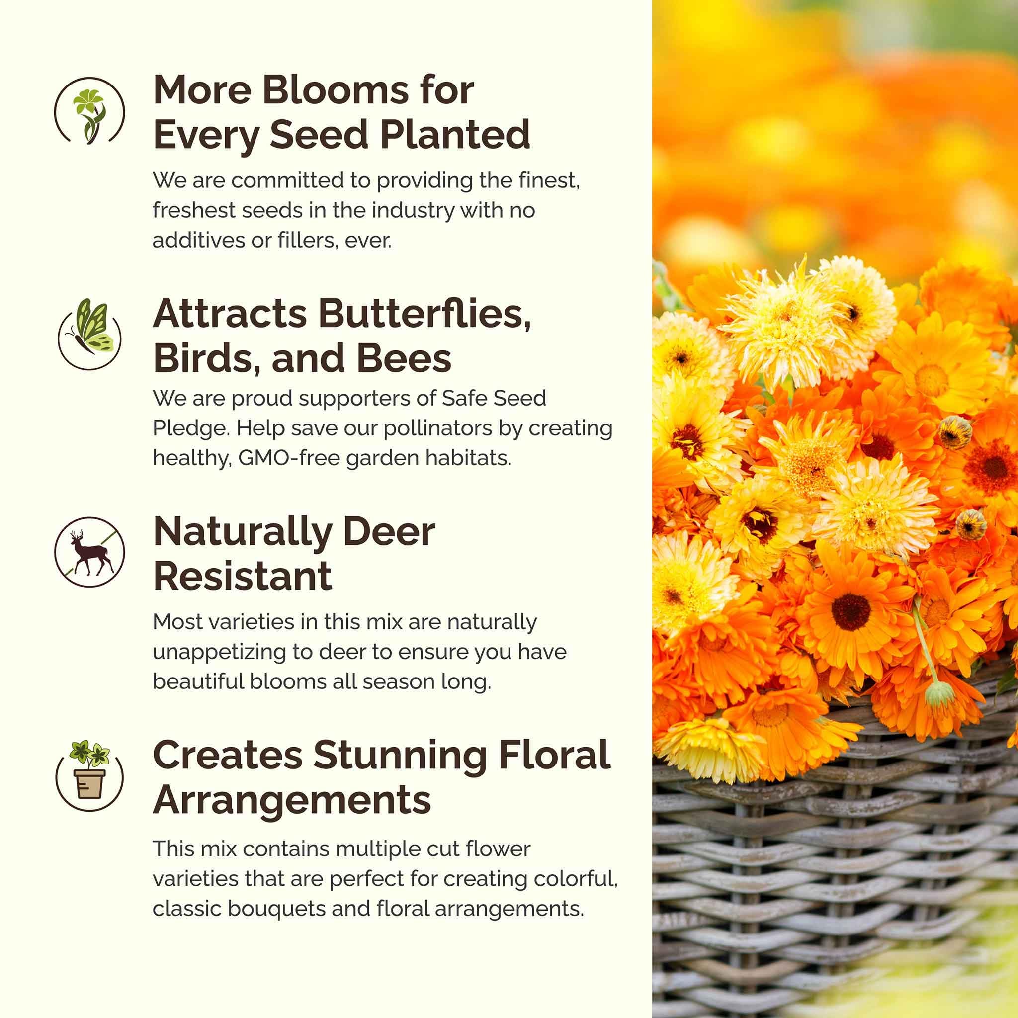 Garden scene with blooming wildflowers from Eden Brothers seeds
