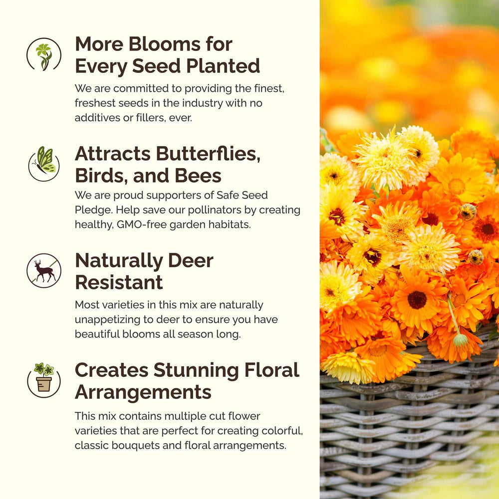Garden scene with blooming wildflowers from Eden Brothers seeds