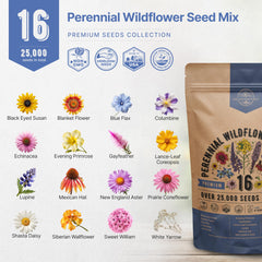 Garden scene with blooming wildflowers from the mix