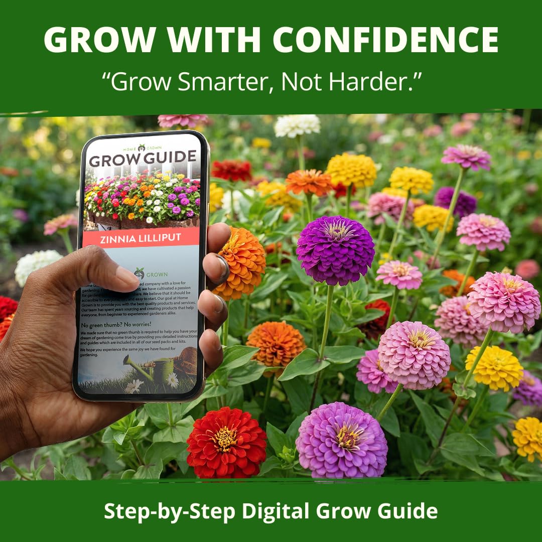 Garden scene with butterflies around Lilliput Zinnias