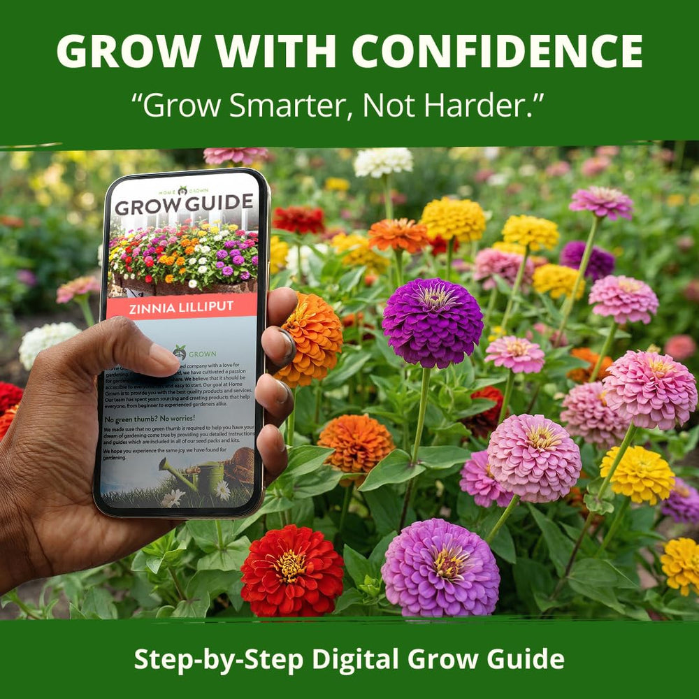 Garden scene with butterflies around Lilliput Zinnias