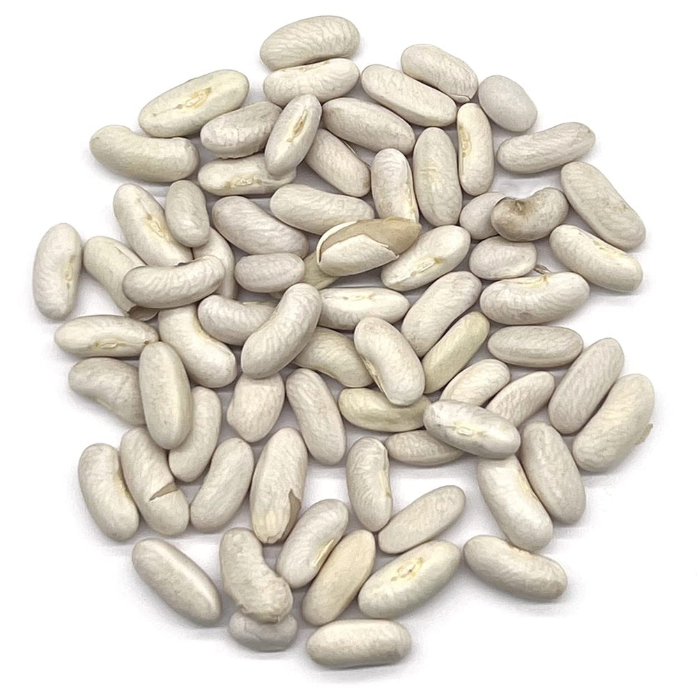 Garden setting with Blue Lake Bush Beans growing