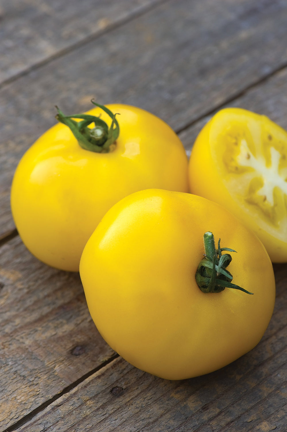 Garden setting with Burpee Sunny Boy tomato plants