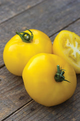 Garden setting with Burpee Sunny Boy tomato plants