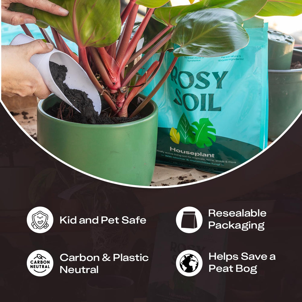 Garden setting with potted plants using Rosy Soil