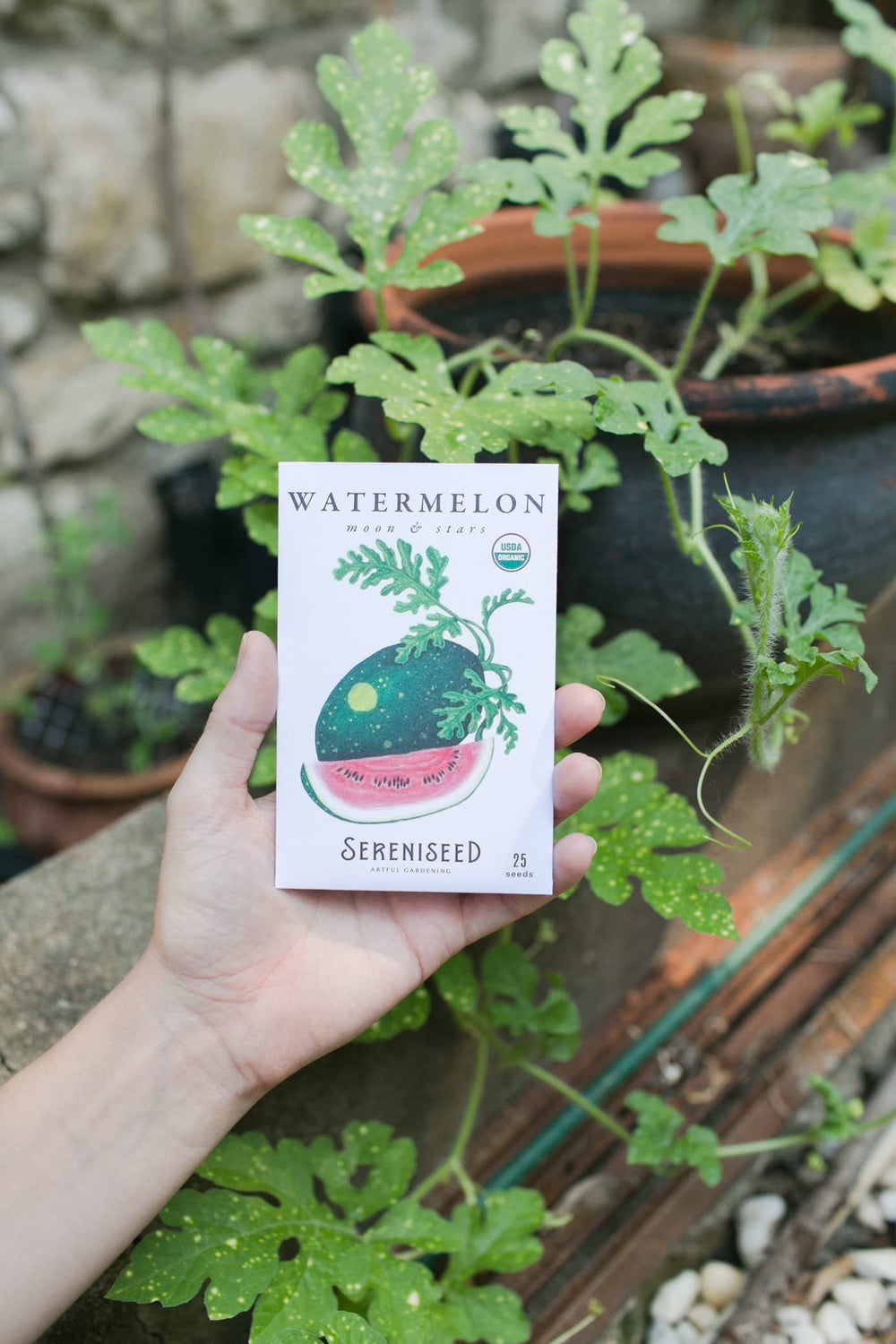 Garden setup with Sereniseed vegetable seeds