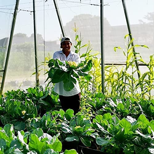 Garden Tailor netting covering plants to protect from pests