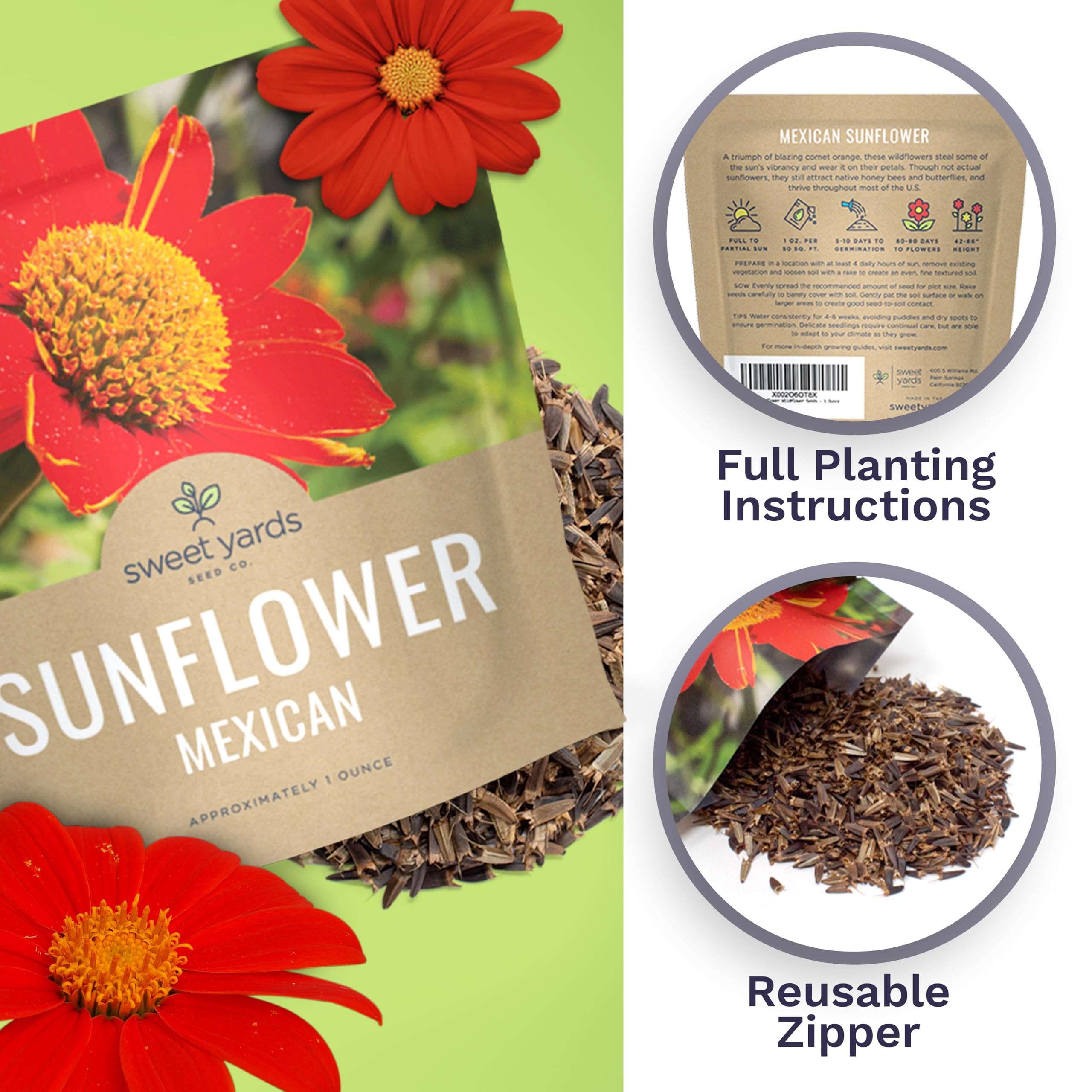 Garden with blooming Mexican Sunflowers