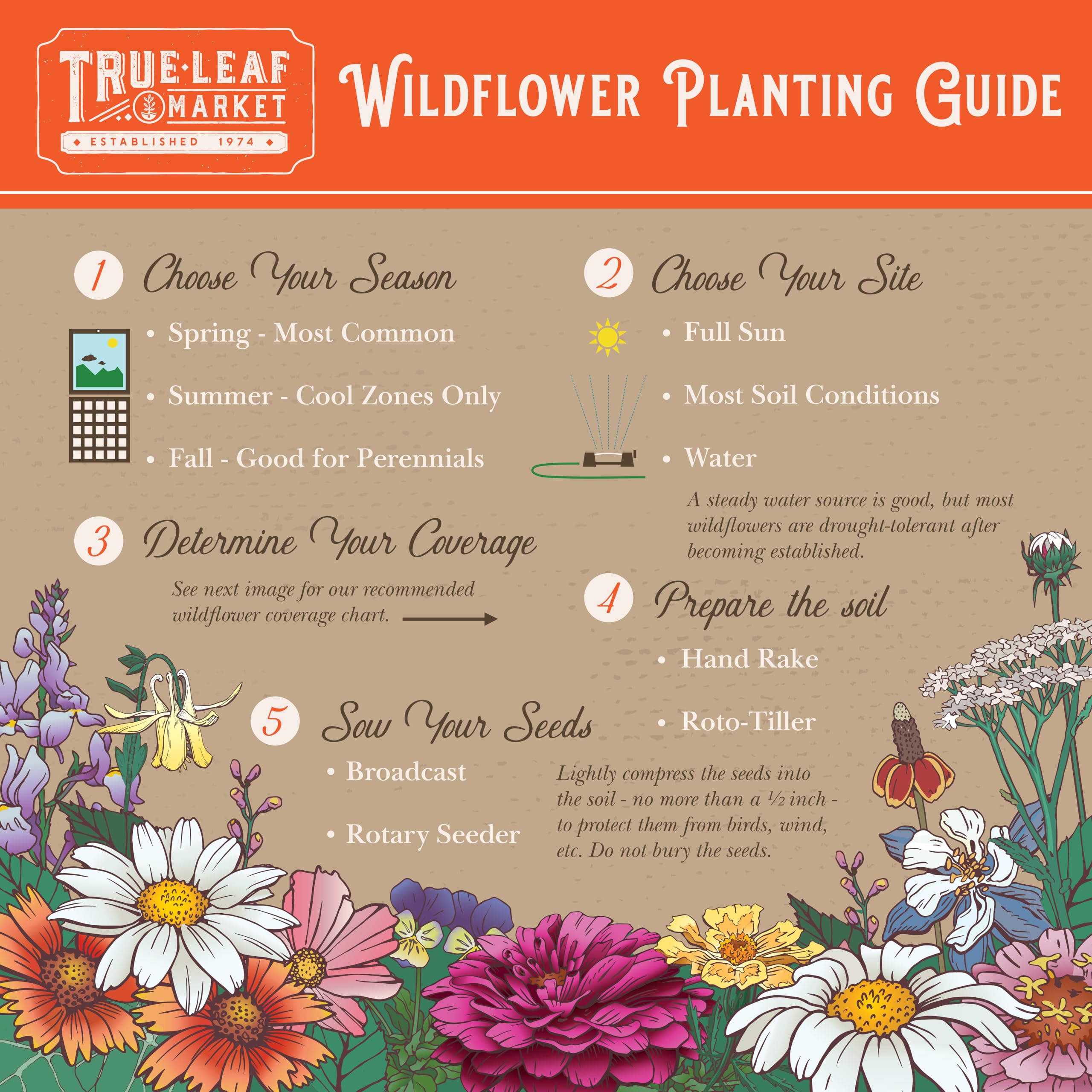 Garden with blooming wildflowers from Mountain Valley Seed Company