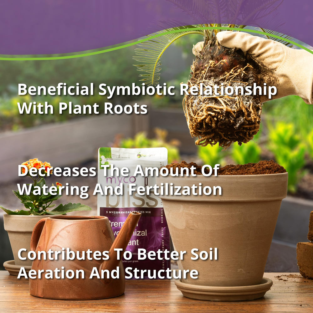 Garden with healthy plants nourished by Myco Bliss