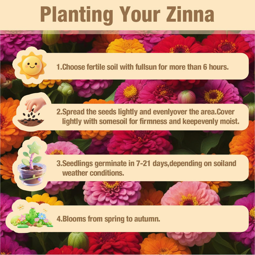 Garden with zinnia flowers planted from EquSym seeds
