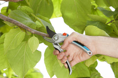 Gardena bypass pruners in green with safety lock engaged