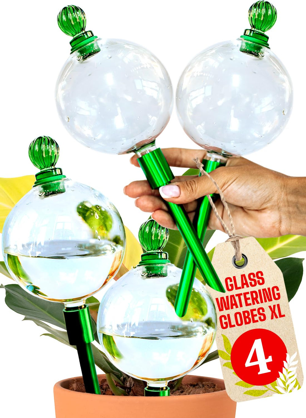 GARDENBRO 4pc self-watering globes clear glass front view