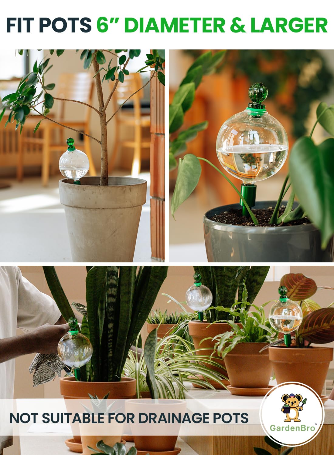 GARDENBRO self-watering globes in medium pot