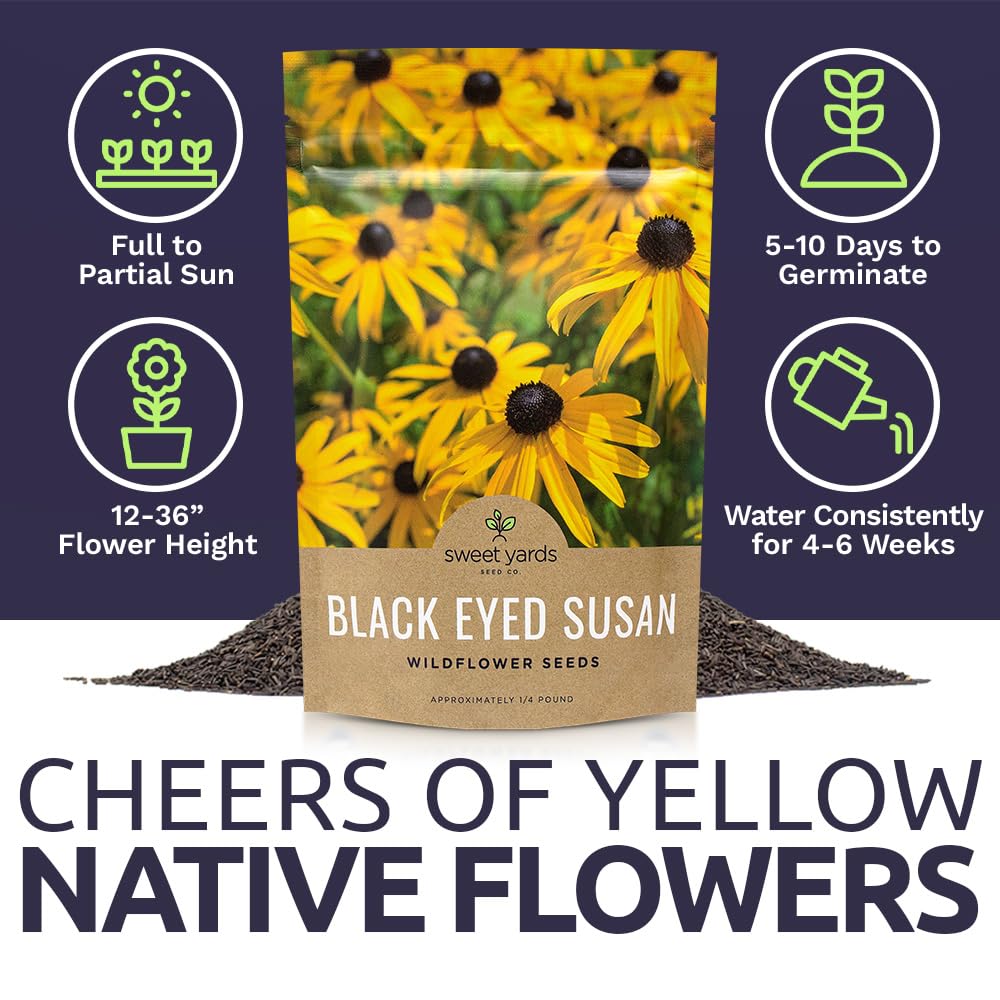 Gardener planting Black Eyed Susan seeds in soil