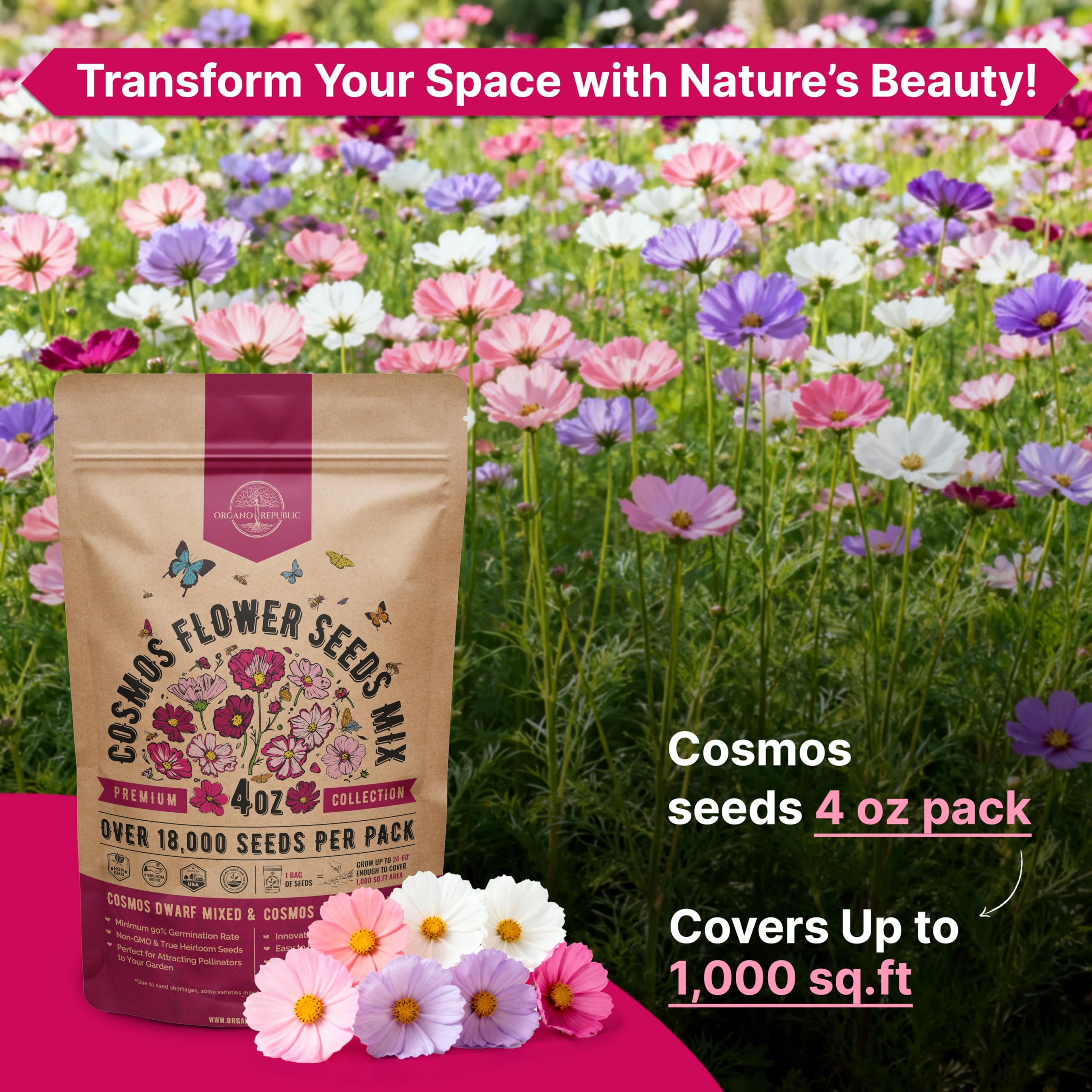 Gardener planting cosmos seeds in soil