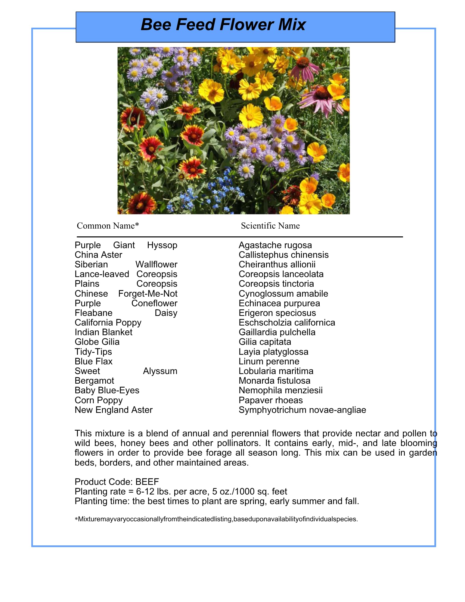 Gardener planting GevaGrow Honey Bee Wildflower seeds