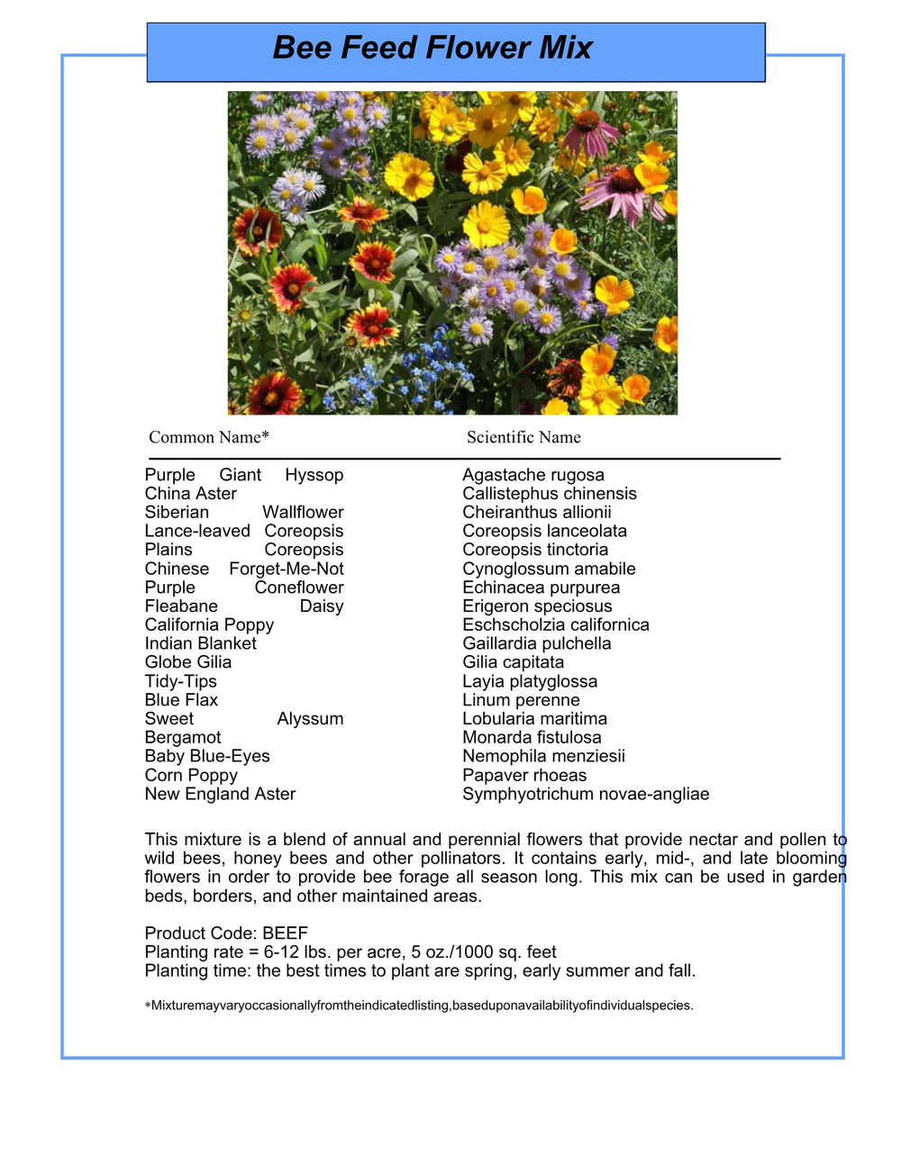 Gardener planting GevaGrow Honey Bee Wildflower seeds