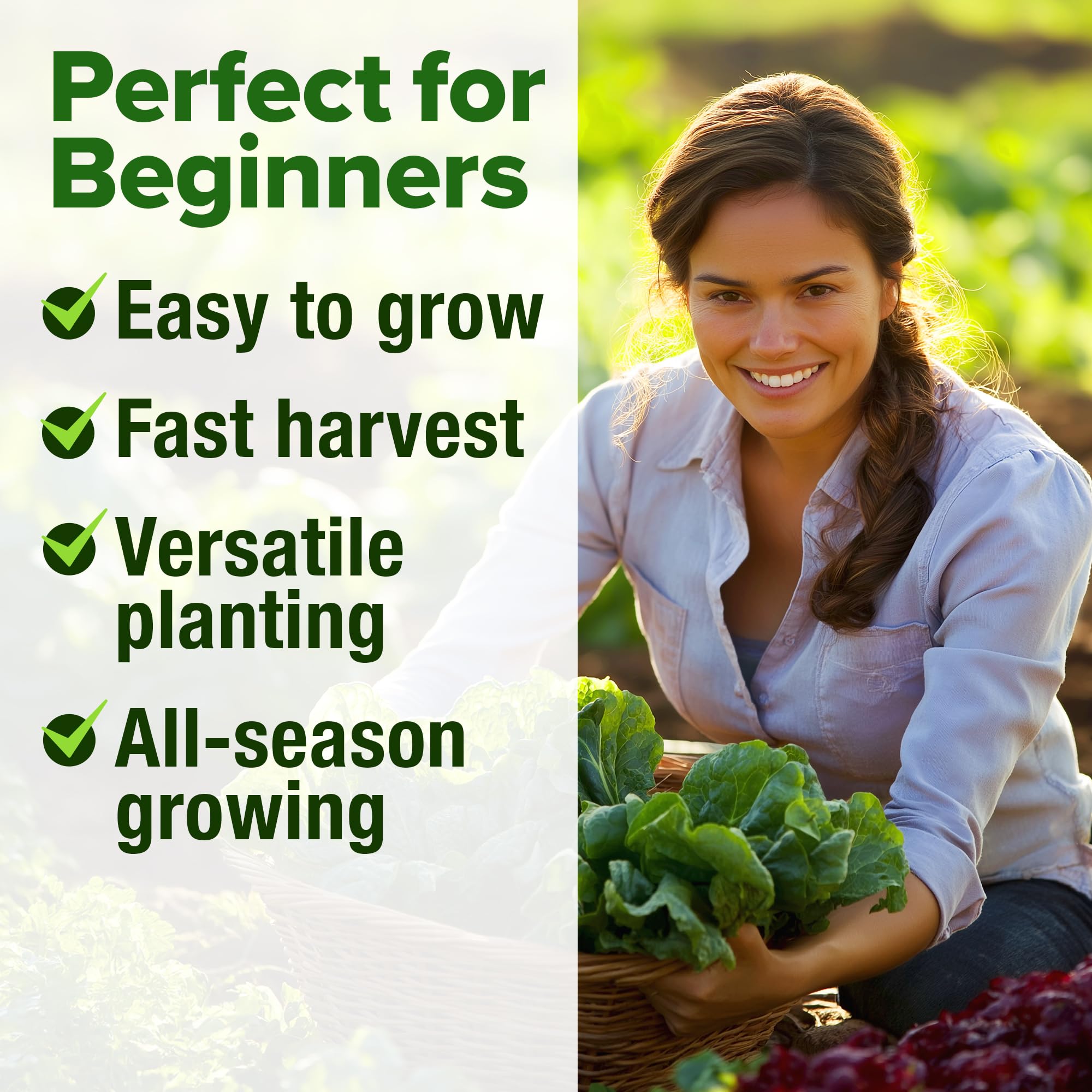 Gardener planting lettuce seeds in soil