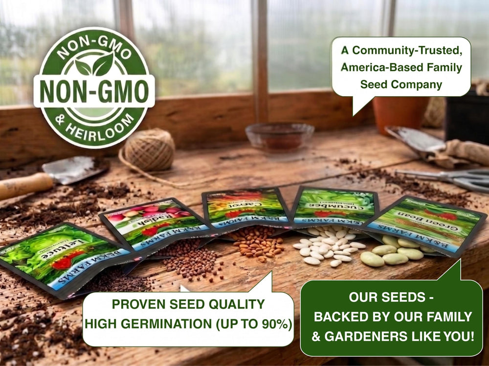 Gardener planting seeds from B&KM Farms kit