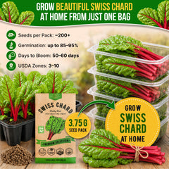 Gardener planting Swiss Chard seeds in garden bed