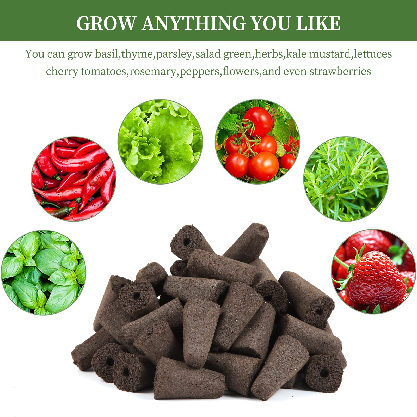 Gardener using LANVRION Grow Sponges with seeds