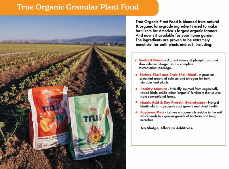 Gardener using True Organic Tomato & Vegetable Food in pots