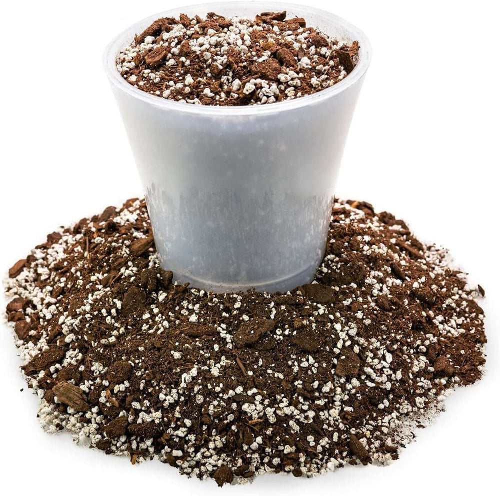 Gardenera Aloe Vera Potting Soil Mix with Aloe Vera plant
