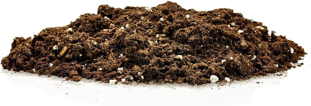 Gardenera Citrus Tree Potting Soil Mix in use with citrus plants