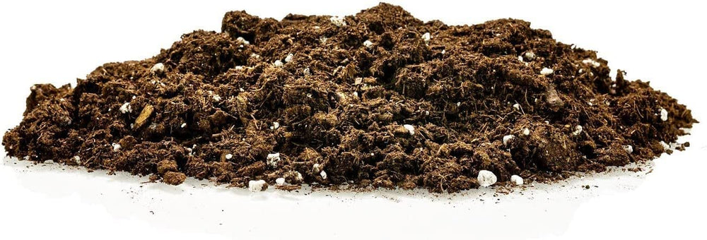 Gardenera Citrus Tree Potting Soil Mix in use with citrus plants