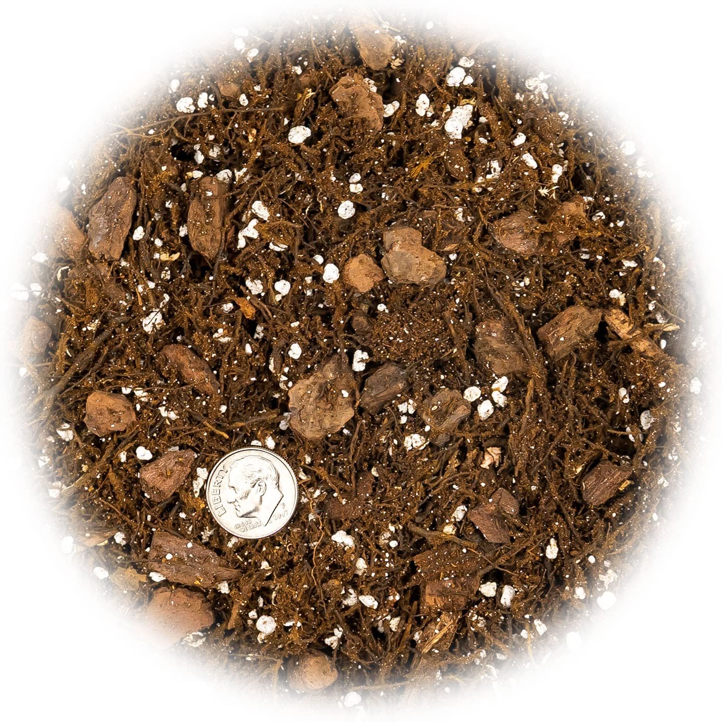 Gardenera House Plant Potting Mix with fern and pine bark