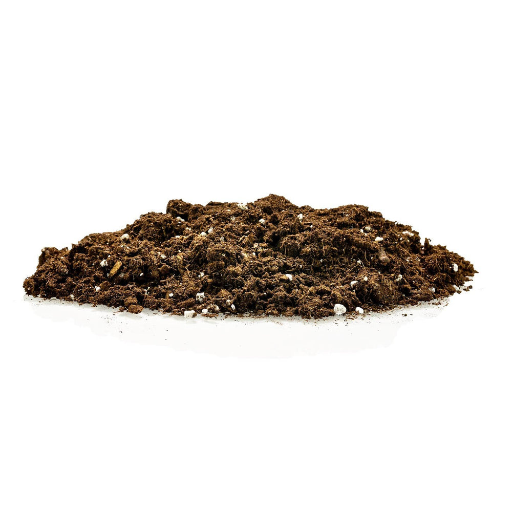 Gardenera Money Tree Potting Soil Mix 1 Quart bag back view