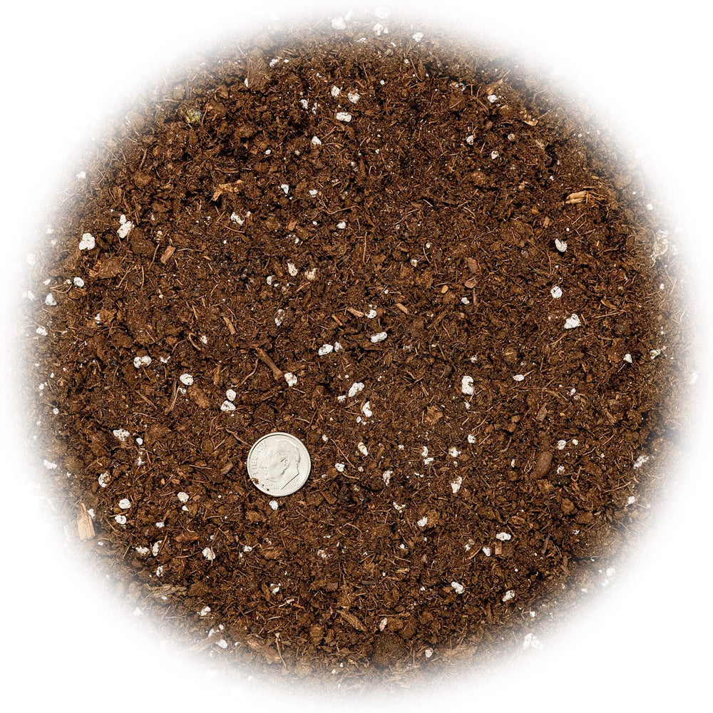 Gardenera Money Tree Potting Soil Mix ingredients close-up
