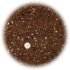Gardenera Money Tree Potting Soil Mix ingredients close-up