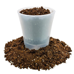 Gardenera Money Tree Potting Soil Mix texture showing peat and perlite