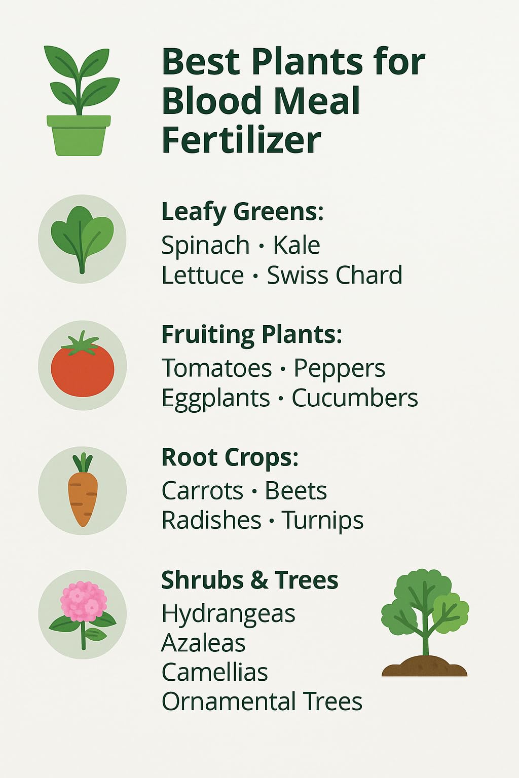 Gardenera Organic Blood Meal Fertilizer application in garden soil