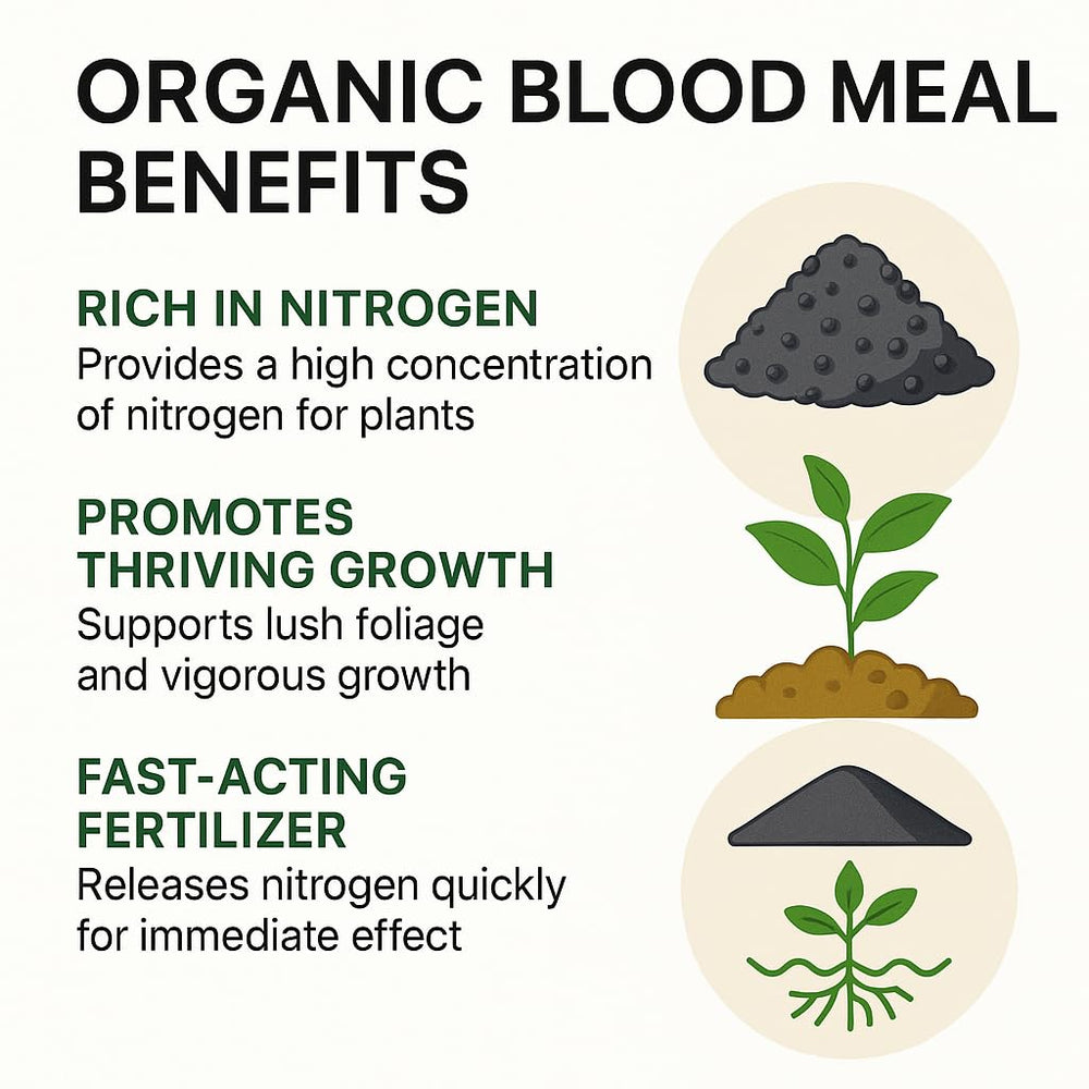 Gardenera Organic Blood Meal Fertilizer powder texture close-up