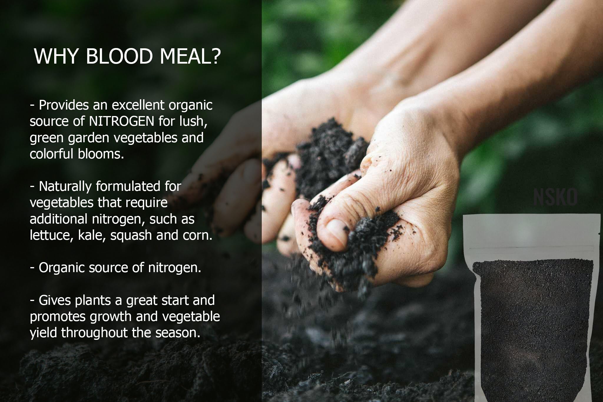 Gardenera Organic Blood Meal Fertilizer scoop next to garden tools
