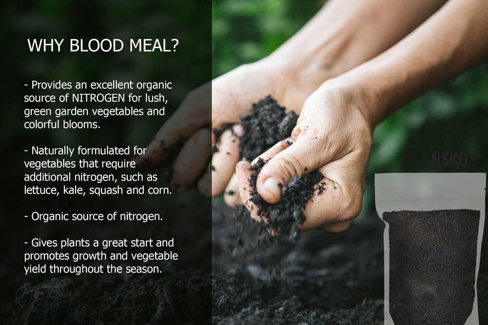 Gardenera Organic Blood Meal Fertilizer scoop next to garden tools