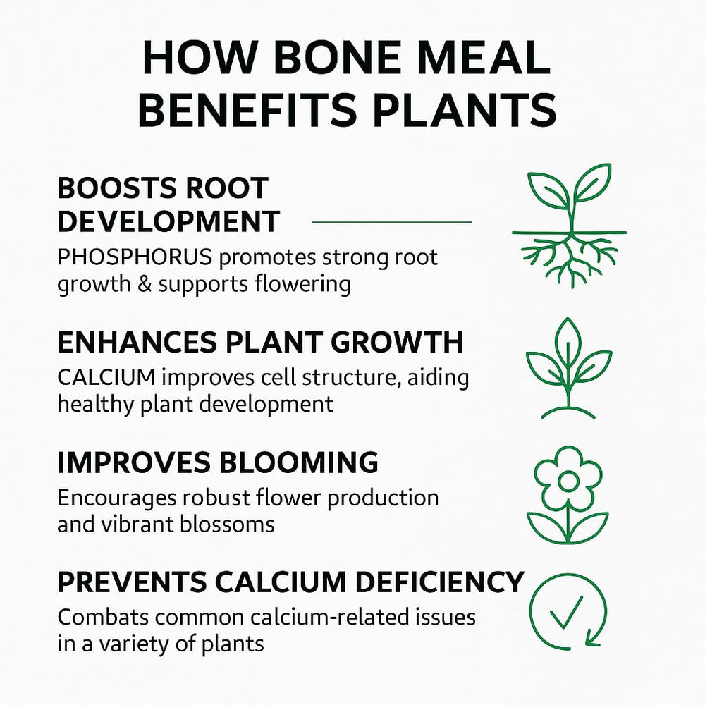 Gardenera Organic Bone Meal Fertilizer application on soil