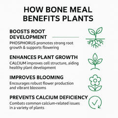 Gardenera Organic Bone Meal Fertilizer application on soil