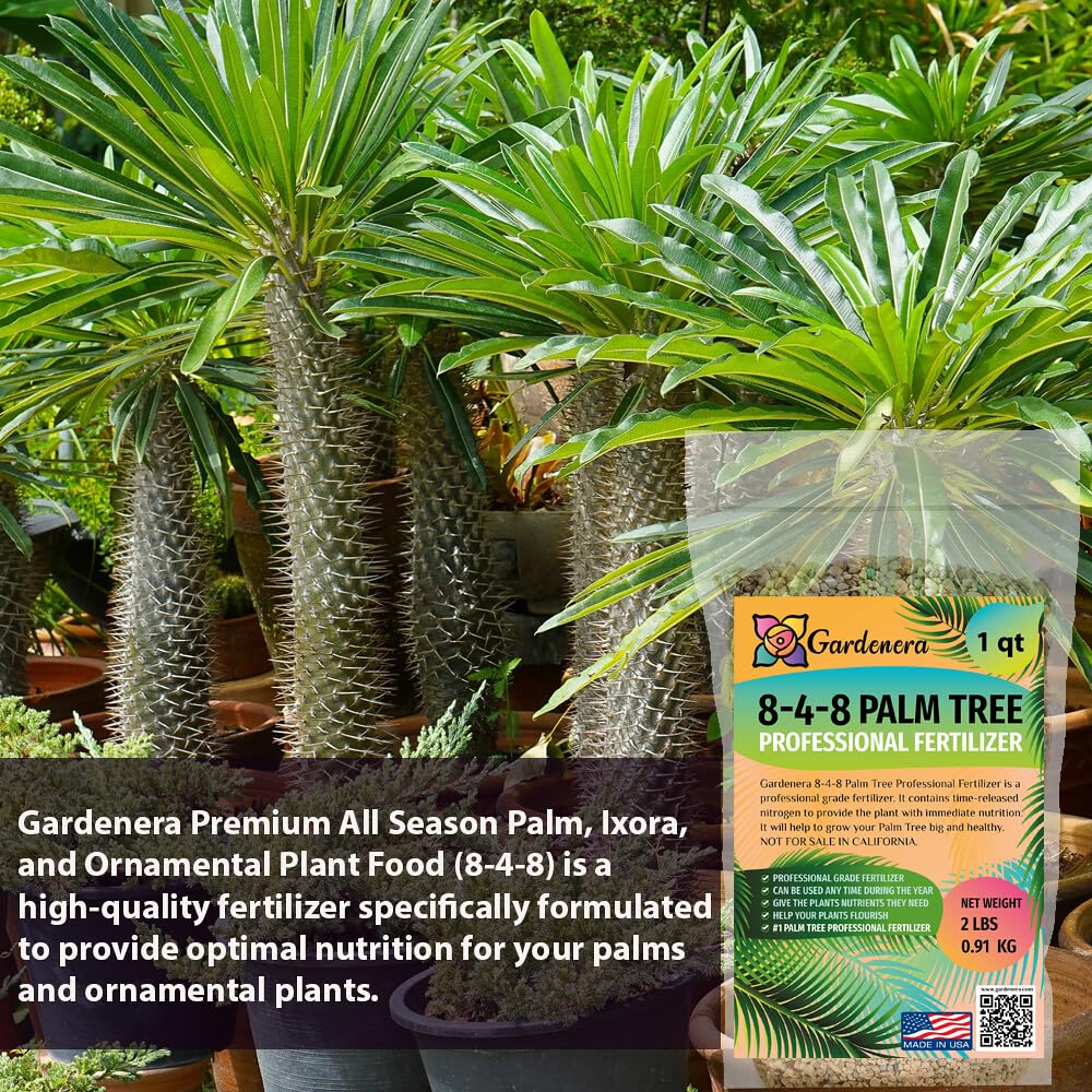 Gardenera Palm Tree Fertilizer granules in a measuring scoop
