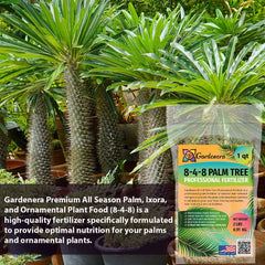 Gardenera Palm Tree Fertilizer granules in a measuring scoop