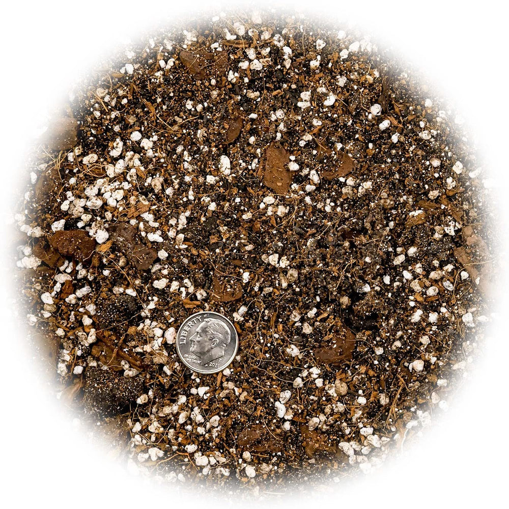Gardenera Peace Lily Potting Mix in a small planter