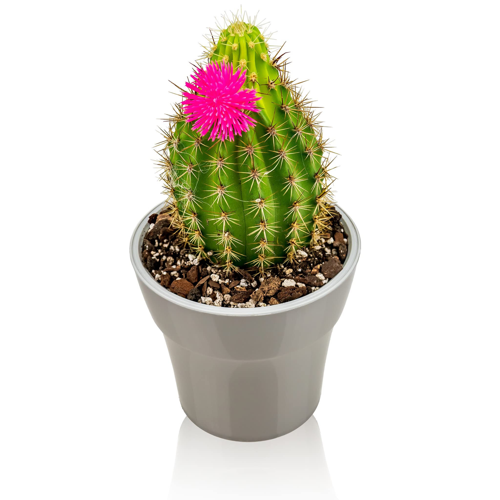 Gardenera Professional Succulent Soil Blend packaging details