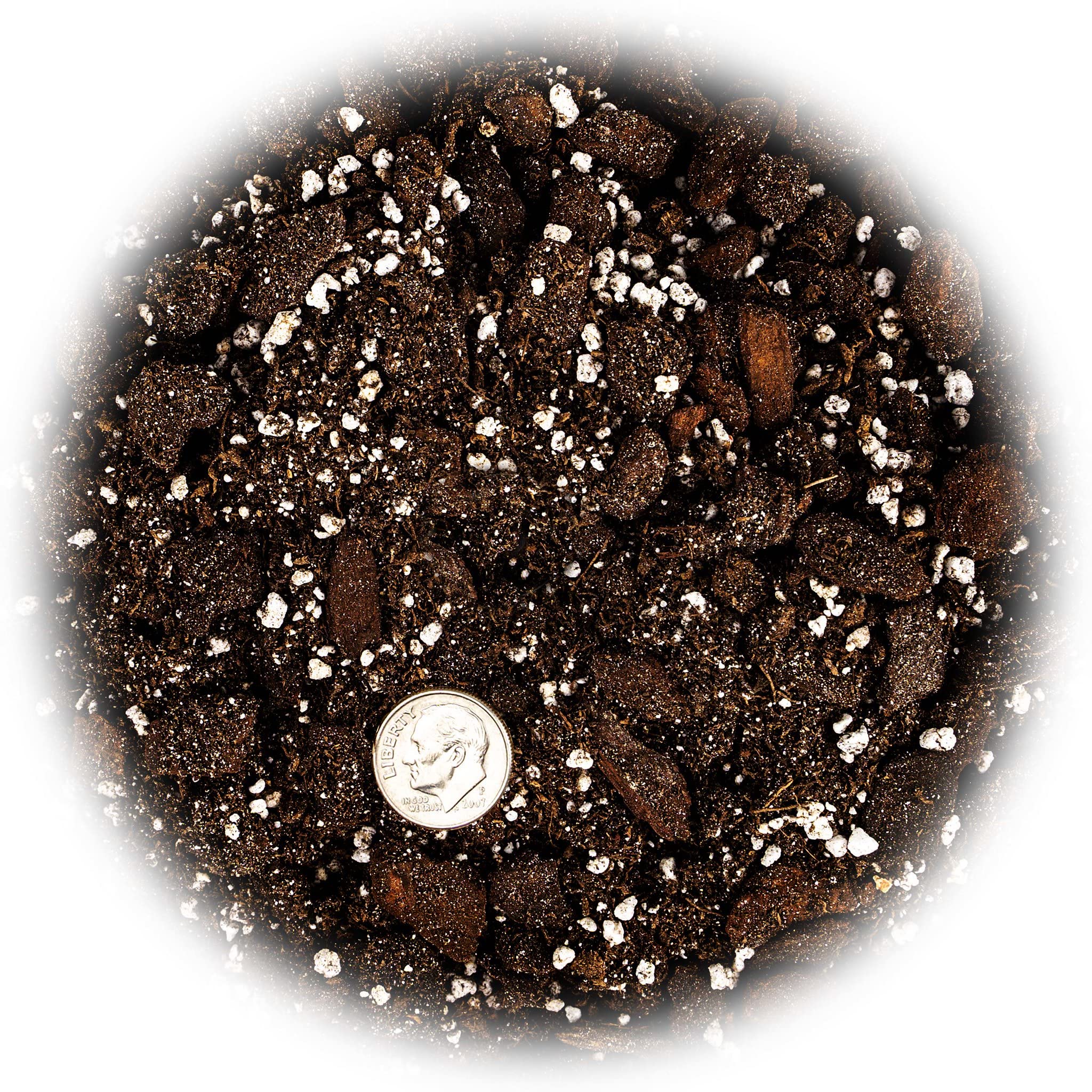 Gardenera soil blend for succulents and cacti in a garden setting