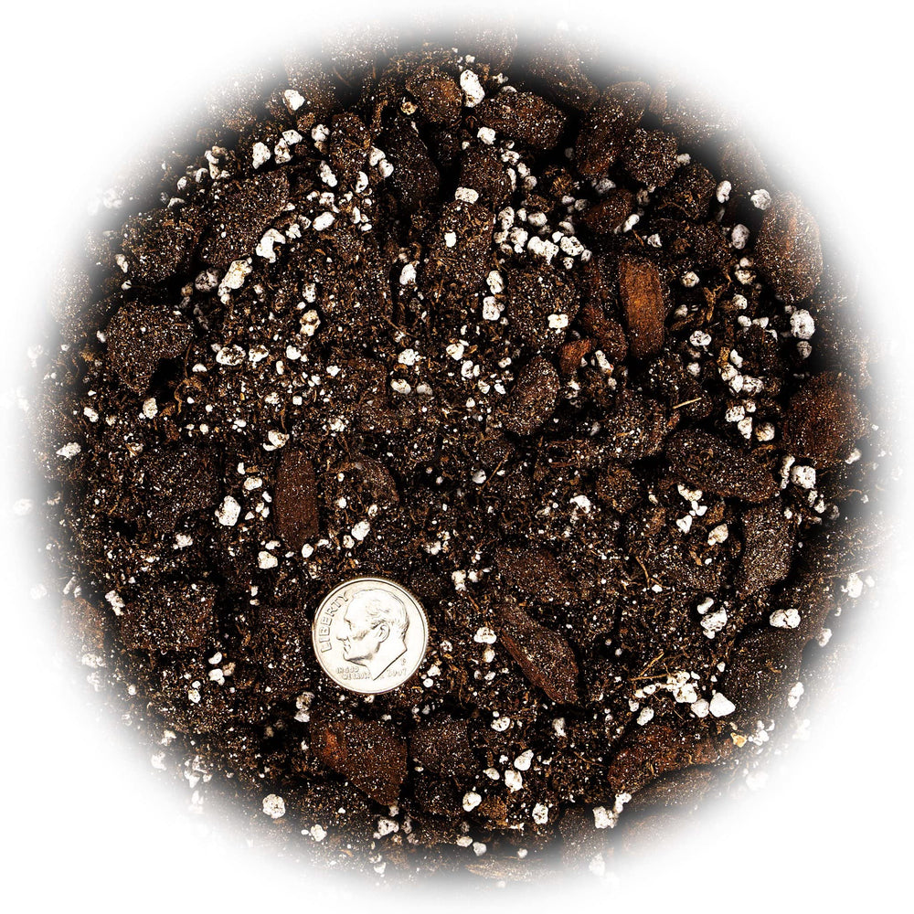 Gardenera soil blend for succulents and cacti in a garden setting