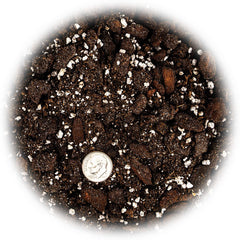 Gardenera soil blend for succulents and cacti in a garden setting