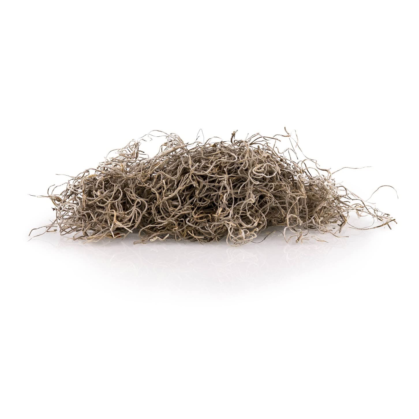 Gardenera Spanish moss used in a potted plant